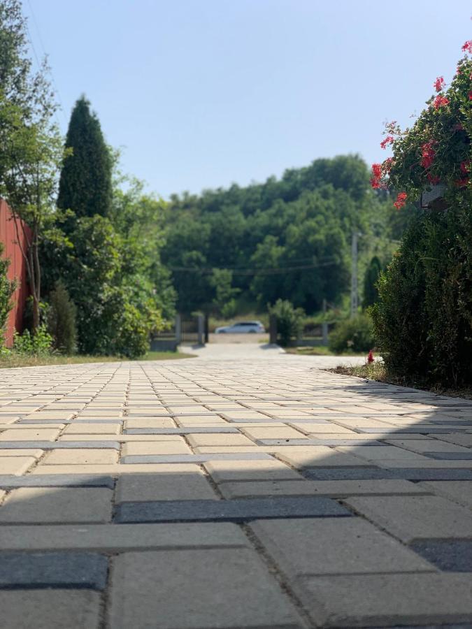 Pensiunea Romana Onesti Exteriör bild